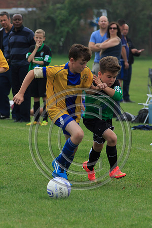 Eldon-2014 711