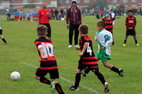 Eldon-2014 480