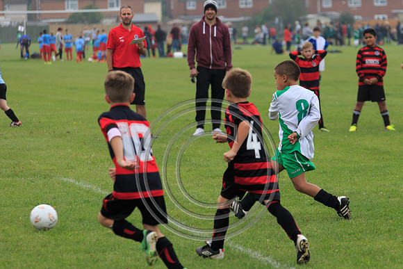 Eldon-2014 480