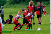 140607 B Cav U10 Tourny 049