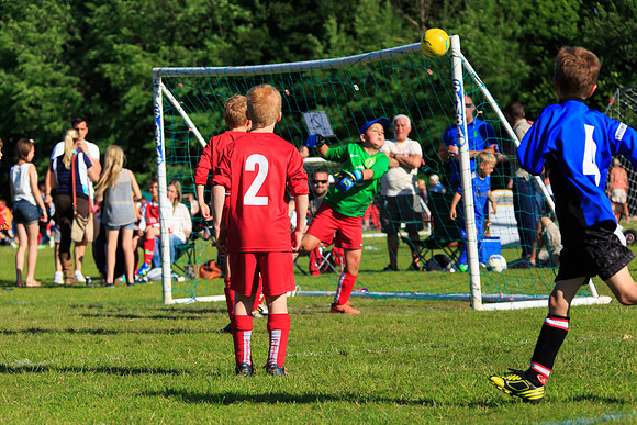 130629 Sandhurst Wanderers U8 at BTJ U9 Trny (571)