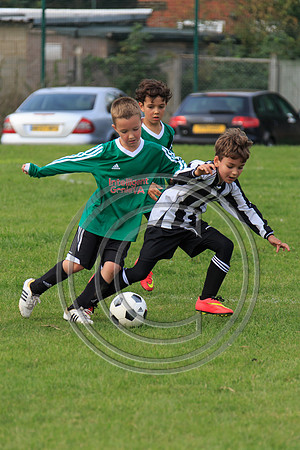 Eldon-2014 880