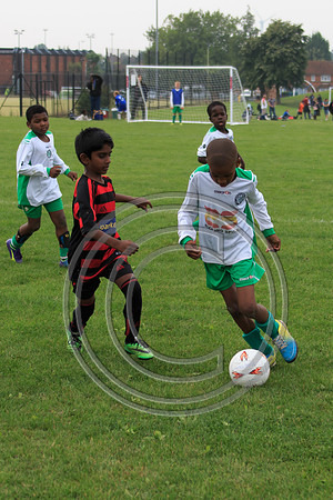 Eldon-2014 469
