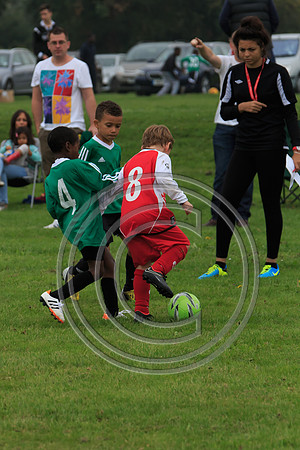 Eldon-2014 240