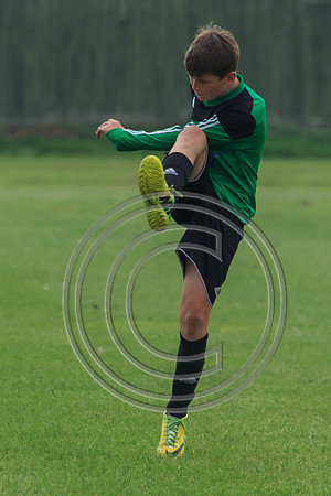 Eldon-2014 697