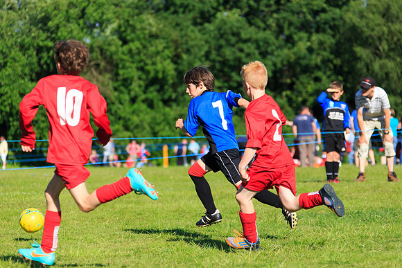 130629 Sandhurst Wanderers U8 at BTJ U9 Trny (540)