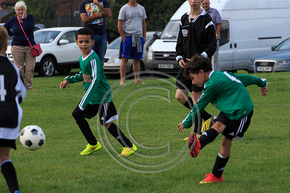 Eldon-2014 895