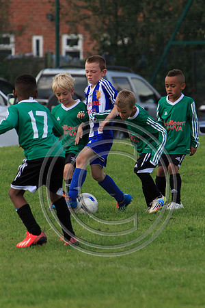 Eldon-2014 915