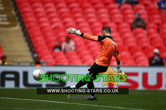 Ascot v Newport FA Vase Wembley-1397