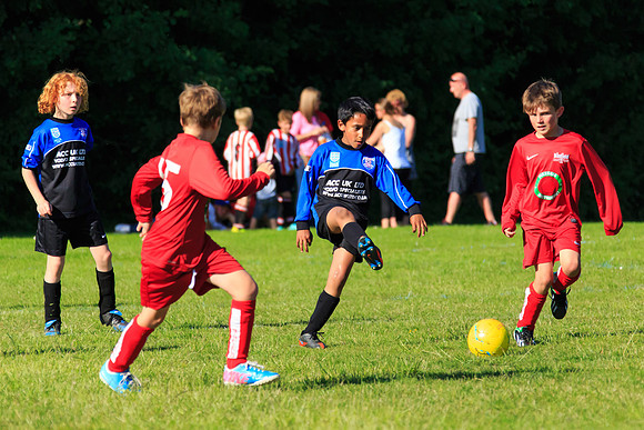 130629 Sandhurst Wanderers U8 at BTJ U9 Trny (546)