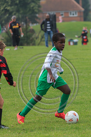 Eldon-2014 558