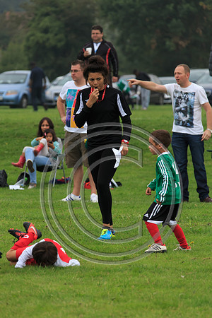 Eldon-2014 223