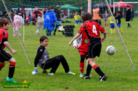 140607 B Cav U10 Tourny 017