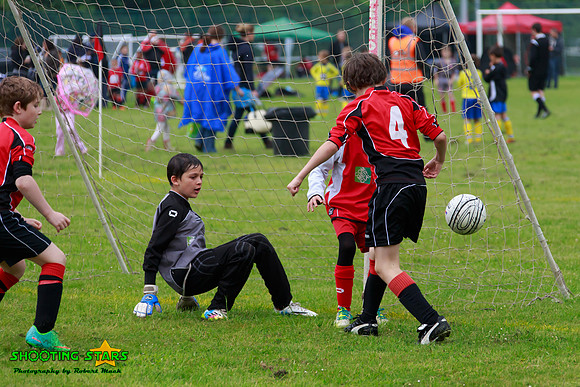 140607 B Cav U10 Tourny 017