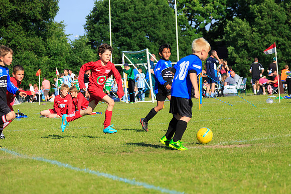 130629 Sandhurst Wanderers U8 at BTJ U9 Trny (561)