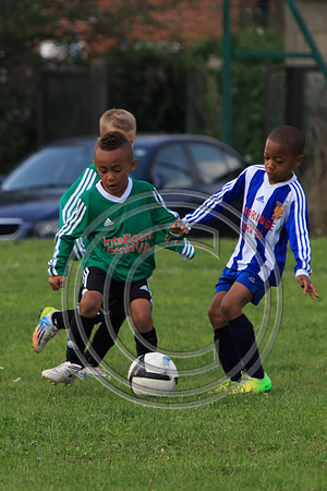 Eldon-2014 920