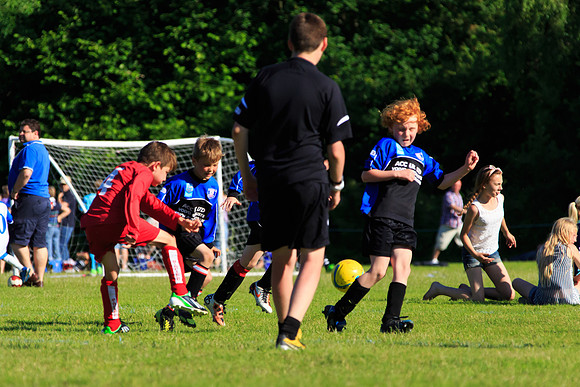 130629 Sandhurst Wanderers U8 at BTJ U9 Trny (506)