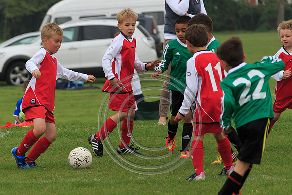 Eldon-2014 156