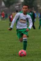Eldon-2014 337