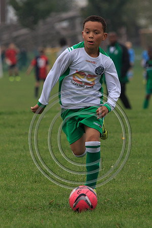 Eldon-2014 337