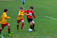 140223 B Cav U9 v Pinewood Pumas (20)