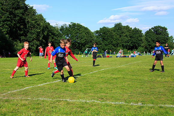 130629 Sandhurst Wanderers U8 at BTJ U9 Trny (486)