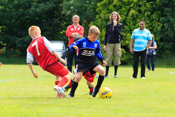 130629 Sandhurst Wanderers U8 at BTJ U9 Trny (89)