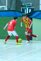 FT0515 (2012)