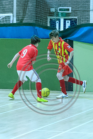 FT0515 (2012)