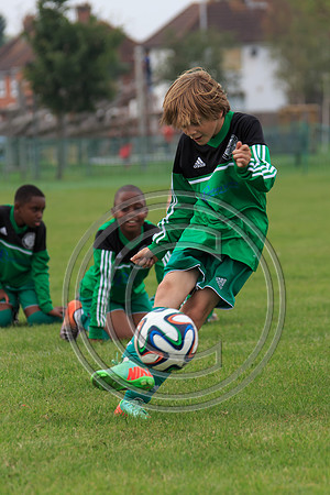 Eldon-2014 617