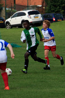 Eldon-2014 1064