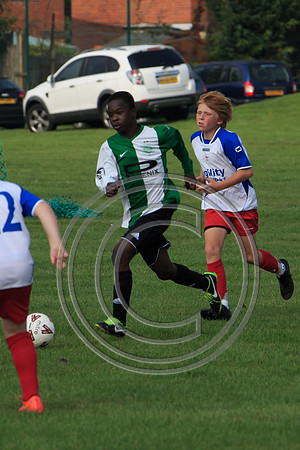 Eldon-2014 1064