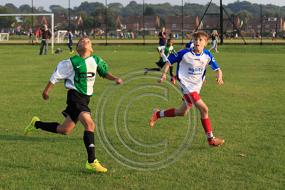 Eldon-2014 1396