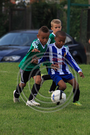 Eldon-2014 934