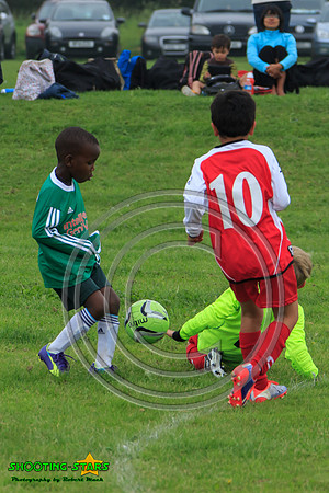 Eldon-2014 205
