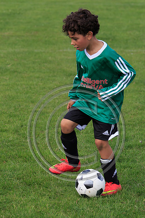 Eldon-2014 889