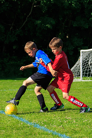 130629 Sandhurst Wanderers U8 at BTJ U9 Trny (488)