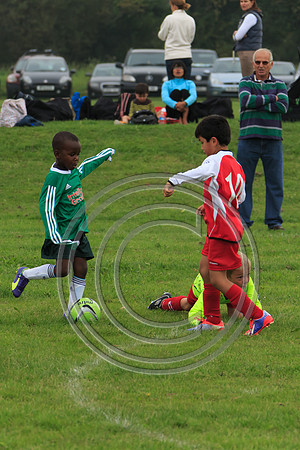 Eldon-2014 206