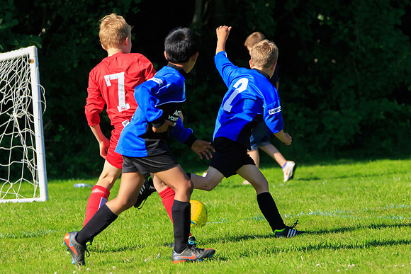 130629 Sandhurst Wanderers U8 at BTJ U9 Trny (538)