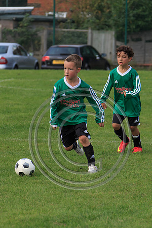 Eldon-2014 881