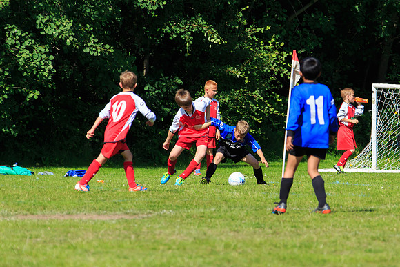 130629 Sandhurst Wanderers U8 at BTJ U9 Trny (291)