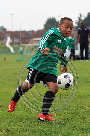 Eldon-2014 788