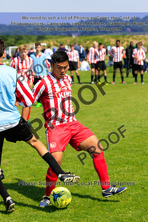 U15-1667