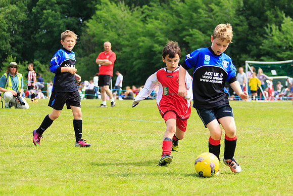 130629 Sandhurst Wanderers U8 at BTJ U9 Trny (94)