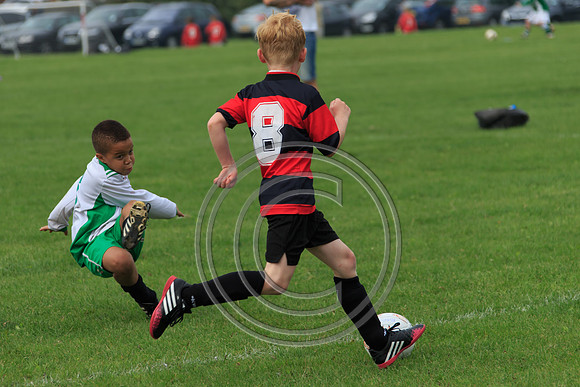 Eldon-2014 548