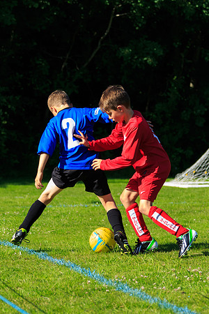 130629 Sandhurst Wanderers U8 at BTJ U9 Trny (489)