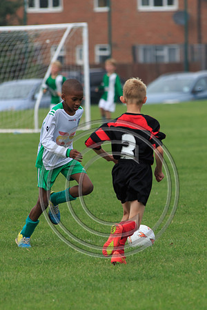 Eldon-2014 516