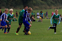Eldon-2014 815