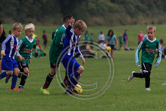 Eldon-2014 815