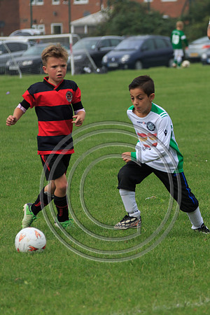 Eldon-2014 550